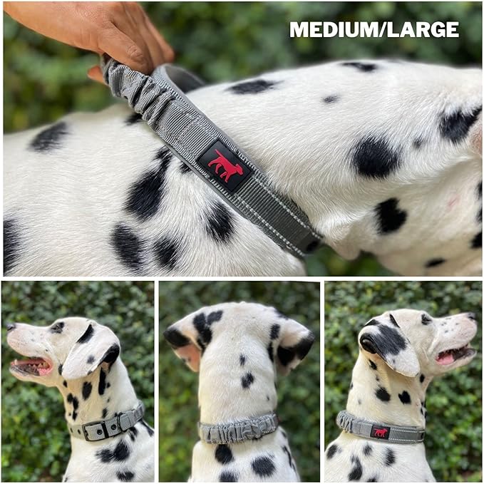 Tuff Pupper Heavy Duty Dog Collar with Handle | Ballistic Nylon Heavy Duty Collar | Padded Reflective Dog Collar with Adjustable Stainless Steel Hardware | Convenient Sizing for All Breeds