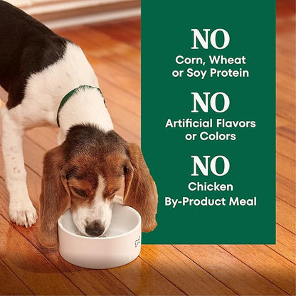 Nutro Natural Choice Large Breed Puppy Food Dry, Lamb & Brown Rice Recipe, 30 lb. Bag