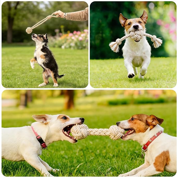 PATTEPOINT Dog Rope Toy for Small Dog 3pcs, Natural Chew Toys for Puppy, Medium & Small Dogs, Tug of War Rope for Puppies Clean & Relieve Teething