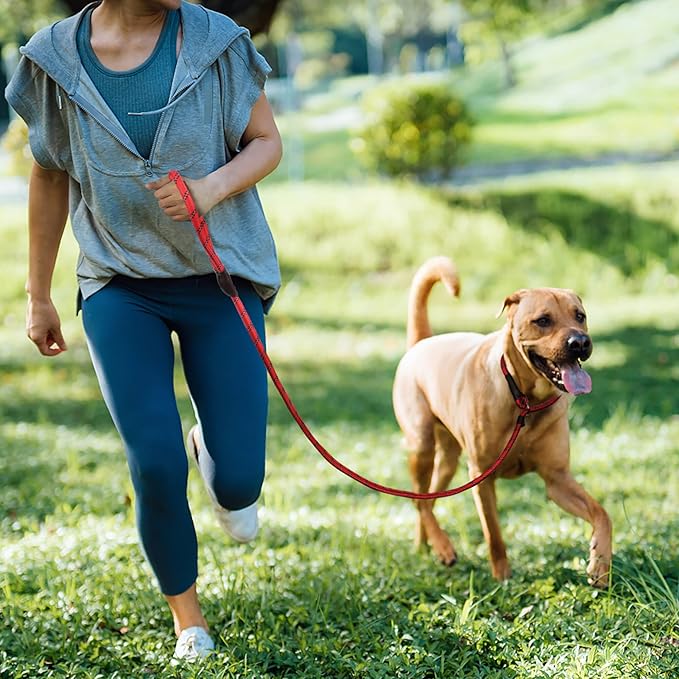 TwoEar 6FT Slip Lead Dog Leash, Heavy Duty Slip Leash for Dogs with Highly Reflective, Strong Rope Slip Leads No Pull Pet Training Leashes for Large Medium Dogs (1/2", Red)