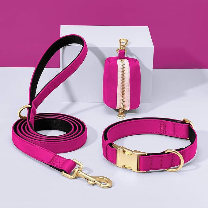 Didog Soft Padded Dog Collars for Small Dogs, Colorful and Durable Dog Collar with Quick Release Buckle, Light and Breathable for Daily Walking, Rose Purple, S
