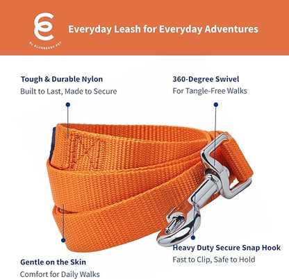 Blueberry Pet Essentials Orange Vermilion Dog Leash for Medium - 5' * 3/4" Dogs | Heavy Duty Nylon Lead | Lightweight Puppy & Cat Leash for Walking & Training