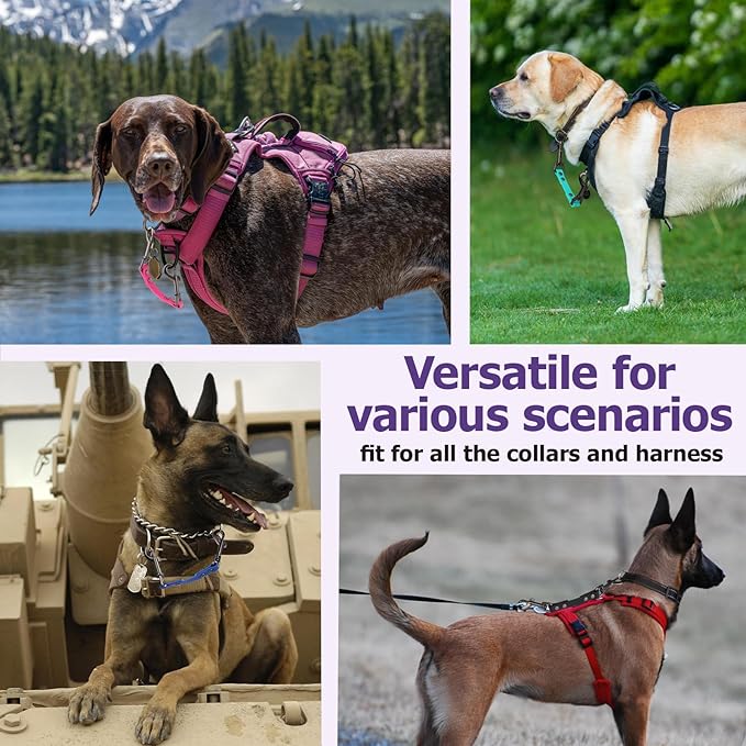 Dog Safety Collar Clip – Waterproof Backup Connector with Dual Hooks for Harness and Collar | Leash Safety Attachment for Training & Walking (Lavender, 9 inch)