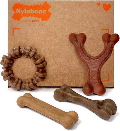 Nylabone Strong Chew Toy 4-Pack Bundle for Dogs Made with Real Bacon, Bison, Venison, Beef, & Chicken, Durable Dog Chew Bones for Aggressive Chewers, Small Dog Toys - Up to 25 lbs, 4 Count