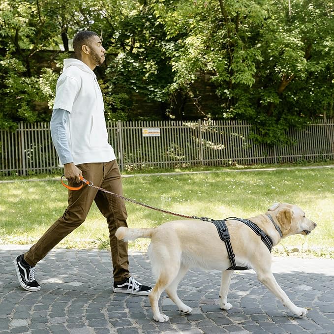 Chew Proof Metal Leash Chain Dog Leash for Medium Large Dogs, Chain Link Anti Chew 5FT Strong Anti Bite Comfortable Soft Padded Handle Orange