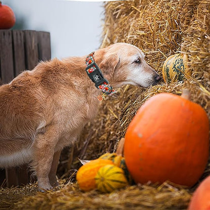 Elegant little tail Halloween Dog Collar, Pumpkin with Flower Print Fall Pet Collars Cotton Soft Sturdy Puppy Collars Holiday Female Adjustable Collar for X-Small Puppy