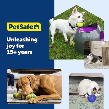 PetSafe Busy Buddy Jack - Keeps Dog Busy - Includes Treats Refill - Treat Holding Dog Toy - Helps Clean Teeth - Durable Rubber - Strong Chewers - Dishwasher Safe - Large - Purple
