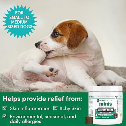 Nootie Progility Mini Allergy & Immune Supplement for Small to Medium Dogs – Advanced Immune Support for Everyday Wellness & Seasonal Allergies, Soft Chews (60 Count)