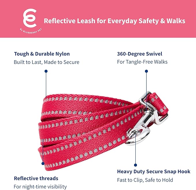 Blueberry Pet Essentials Matching Dog Collar & Leash Set | Pastel Reflective Adjustable Collar with 5 ft Lead for Medium Dogs, Very Berry