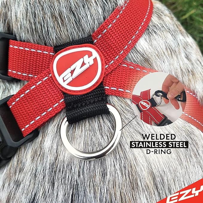 EzyDog Chest Plate No Pull Dog Harness – Escape Proof Harness with Reflective Stitching and Comfort Padding for Easy Walks, Training & Control - Car Restraint Included (Medium, Teal)