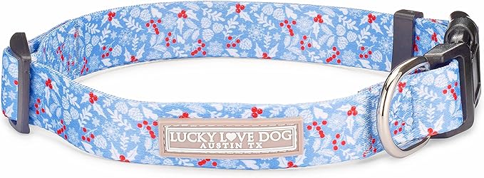 Lucky Love Dog - Adjustable Dog Collar with Easy Click Buckle for Small Dogs, Durable, & Comfortable for Male & Female Dogs, Pet Collar for Puppies & Adult Ones - Winterblue, XS