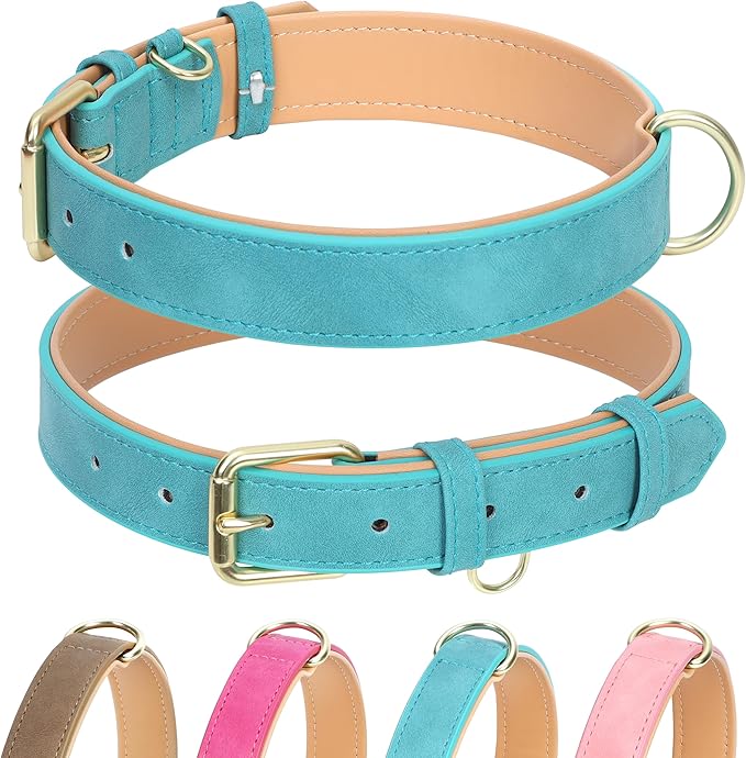 Leather Dog Collar for Small Medium Large Dogs, Soft Padded Dog Leather Collar with Heavy Duty Gold Buckle, Durable & Comfortable for Medium Dogs Daily Walking (Teal, M)