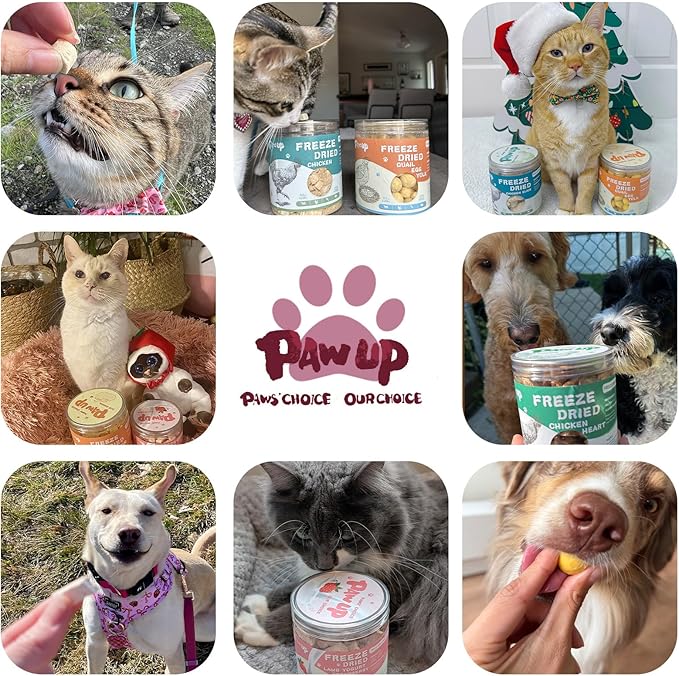 PAWUP Freeze Dried Duck Treats for Cats Dogs, Rawhide Free Freeze-Dried Raw Food Topper, High Protein, Gluten&Grain Free, 4.6oz