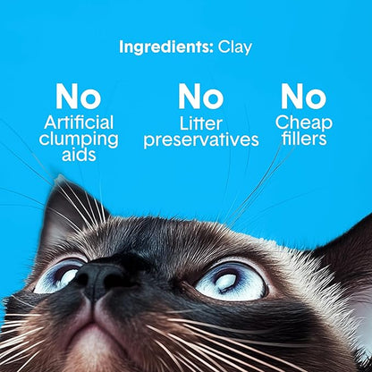 Boxie Unscented 30 Day Odor Control Clumping Clay Cat & Kitty Litter 28 lb, 99.9% Dust-Free, Hard Flat Top Clumps, No Fragrances No Fillers, Long-Lasting, Easy to Scoop