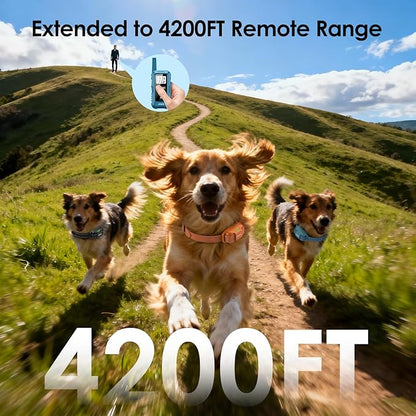 Jugbow Dog Training Collar for 3 Dogs- 4200FT Training Collars with Remote for 5-120 lb Large Medium Small Dogs, Rechargeable Waterproof IPX8 E Collars for Dogs