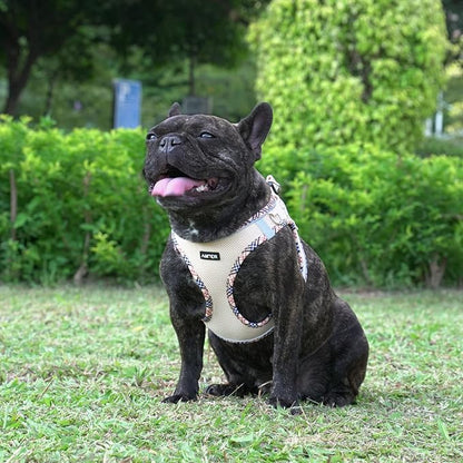 AMTOR Small Dog Harness with Leash Set, No Escape Easy Walk Puppy Harnesses for Training Walking, Step-in Reflective Soft Dogs Vest for XS S Medium Extra-Small Large Sized Dog(Beige,XL)