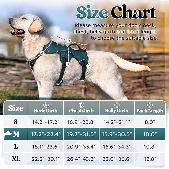 rabbitgoo Escape Proof Dog Harness Medium, Soft Padded Full Body Pet Harness, Reflective Adjustable No Pull Vest with Lift Handle and Leash Clip for Walking Hiking Training, Dark Green, M
