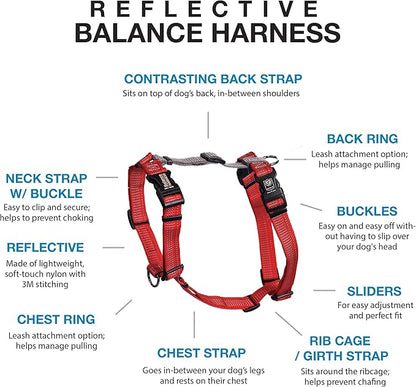 Blue-9 Reflective Buckle-Neck Balance Harness, Fully Customizable Fit No-Pull Harness with 3M Reflective Stitching, Ideal for Dog Training and Obedience, Made in The USA, Red, Medium/Large