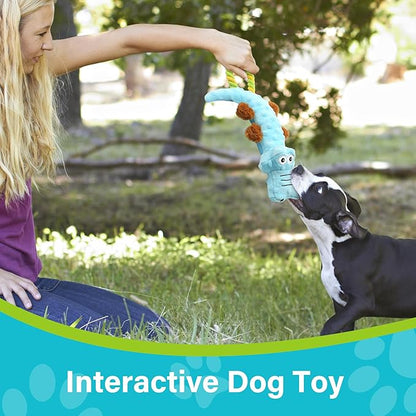 Prime Pets Dog Squeaky Toy, 2 Pack, Tug of War Plush Dog Toys for Small Medium Large Dogs, Stuffed Pet Toys, Interactive Puppy Chew Toy