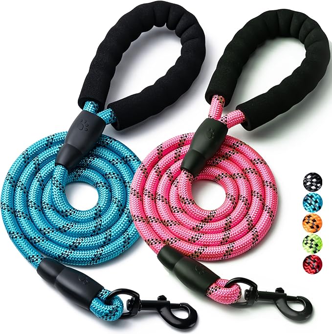 2 Pack Dog Leash, 4/5//6 FT Heavy Duty Nylon Rope Pet Leashes with Comfortable Padded Handle, Reflective Dog Leashes for Small Medium and Large Dogs (6FT-3/8,Blue/Pink)