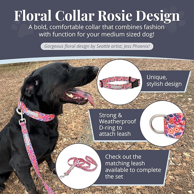 Lucky Love Dog - Adjustable Dog Collar with Easy Click Buckle for Medium, Durable, & Comfortable for Male & Female Dogs, Pet Collar for Puppies & Adult Dogs - Rosie, Medium