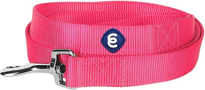 Blueberry Pet Essentials French Pink Dog Leash for Large - 4' * 1" Dogs | Heavy Duty Nylon Lead | Lightweight Puppy & Cat Leash for Walking & Training