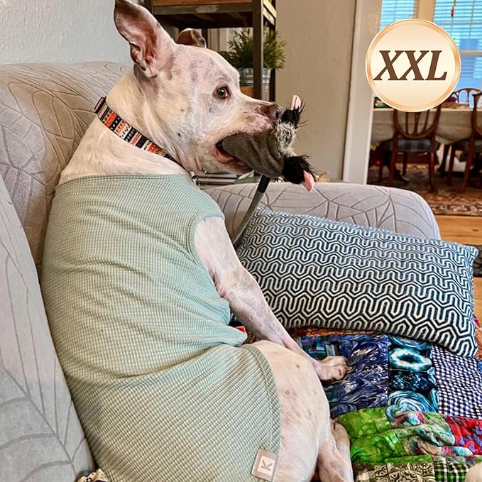 KYEESE 2Pack Waffle Dog Shirts Stretchy Dog T-Shirts Lightweight Dogs Tank Top Sleeveless Striped Dogs Shirt Vest Breathable, XX-Large, Green+Striped