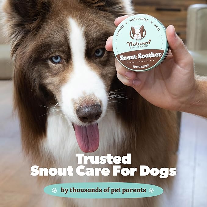 Natural Dog Company Snout Soother Balm – Dog Nose Balm for Dry Cracked Snouts, Moisturizing Winter Nose Care with Coconut Oil & Shea Butter, Lick Safe Dog Snout Balm for All Breeds, 1 oz Tin