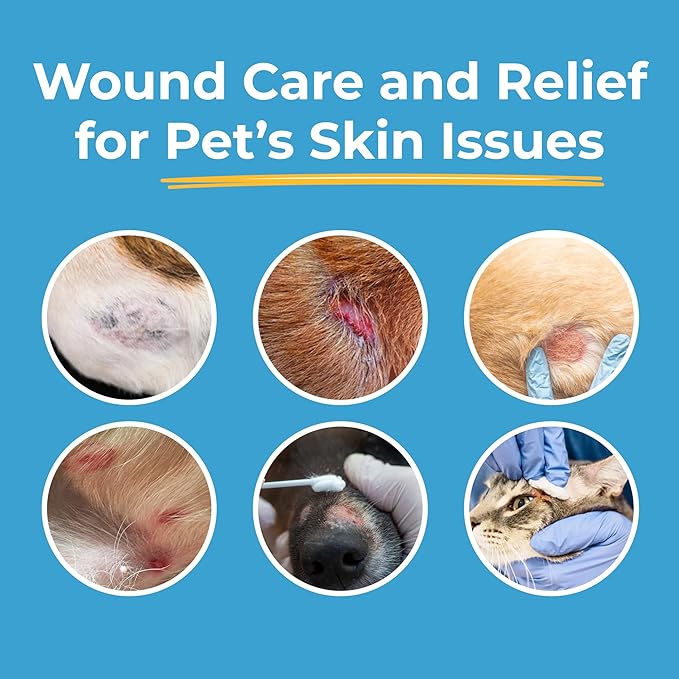 Silverquine Dog Wound Care Gel - Hot Spot Gel Solution for Dogs and Cats - Safe If Licked, Odorless Silver Hydrogel Ointment for Pets Cuts, Burns, Scratches, Sores and Skin Concerns - 1.5 Oz