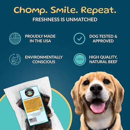 TREATOPIA Adventure Beef Marrow Dog Bones, Dynamo, 3”, 6 PC - All-Natural, Center-Cut, Long-Lasting, Healthy, Single Ingredient, Hand-Trimmed, Slow-Roasted, Made in The USA, No Additives