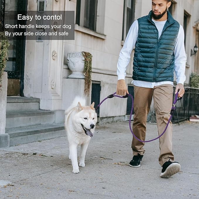 Dog Leash, 6 Foot Dog Leash, 2 Extra Padded Handles, Lockable Metal Carabiner Clip, Reflective No Pull Heavy Duty Rope Lead, Walking, Training, Running, Medium to Large Breeds（Purple）