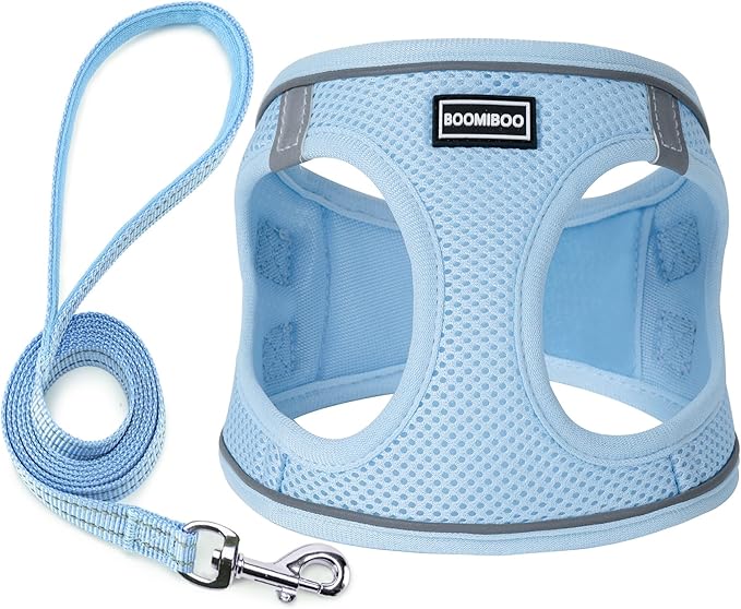 Dog Harness with Leash Set, No Pull Adjustable Reflective Step-in Puppy Pet Vest Harnesses for Small Medium Large Dogs and Cats,Sky Blue M