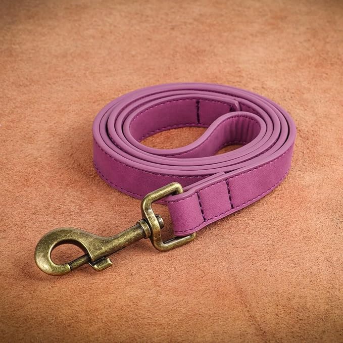 Didog PU Leather Dog Leash, Colorful Dog Leash 4ft, Strong and Durable Faux Leather Lead, Walking and Training Lead for Small Medium Dogs,Purple