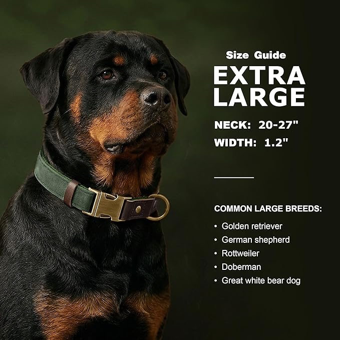 Didog Soft PU Leather Dog Collar for Large Dogs,Classic Adjustable Dog Collars with Quick Release Metal Buckle,Easy Clean and Comfortable with Nylon Lining,Green,XL Neck 20-27", Width 1.2"