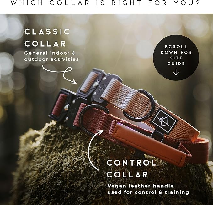 Made to ROAM Premium Dog Collar - Adjustable Heavy Duty Nylon Collar with Quick-Release Metal Buckle (Texas Flair, Classic Size 3)