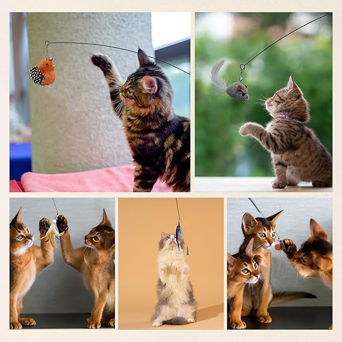 CUTIE PAW PAL Interactive Play Set - Set of 5 Replacement Toys: Mouse, Duck, Feathers, Balls & Worm Heads - Engaging Cat Toys with Realistic Designs for Endless Fun