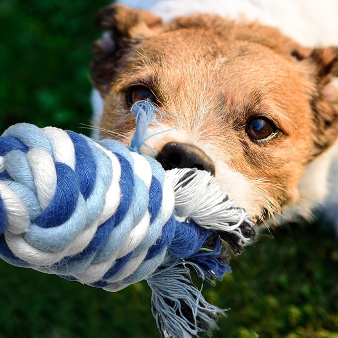 TwoEar Dog Rope Toy 4 Pack - Puppy Teething Toys for Small Breed - Indestructible Dog Chew Toys for Aggressive Chewers - Cotton Tug of War Dog Toys for Boredom, Teeth Clean