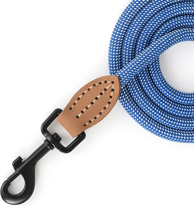 Mile High Life Small Dog Leash, Thin Rope Leash with Genuine Leather Connection and Heavy Duty Metal Clasp, Great for Small Medium Dogs(Blue White,48 Inch-1/3)