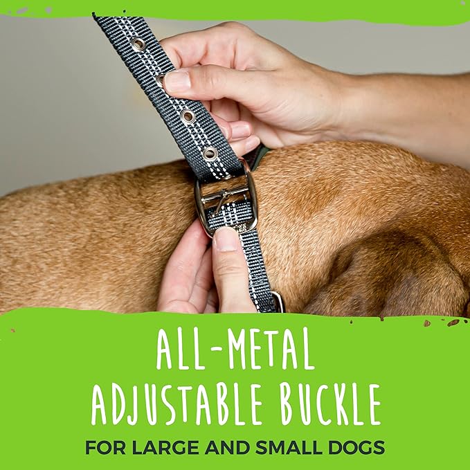 Mighty Paw Ultra Soft Dog Collar - Ultimate Comfort with Soft Neoprene Padding - All-Metal Adjustable Buckle for Large & Small Dogs - Mighty Strong for Long Lasting Durability - Stay Safe and Visible