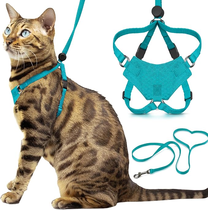 Houdini™ Escape Proof Kitten Harness and Leash Set by OutdoorBengal – Turquoise, Small Cat Harness for Walking
