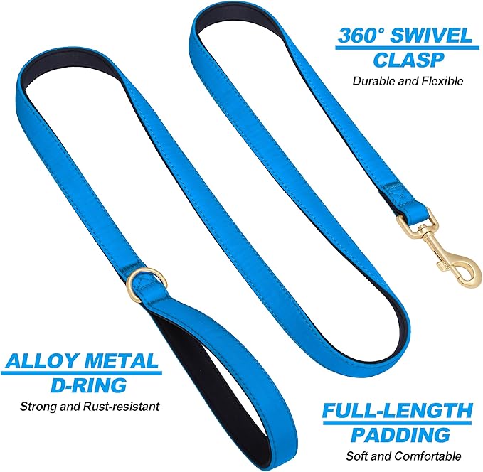 Didog 5FT Colorful Nylon Dog Leash with Soft Full-Length Padding, Lightweight and Durable Pet Leash for Medium and Large Dogs, Blue, M