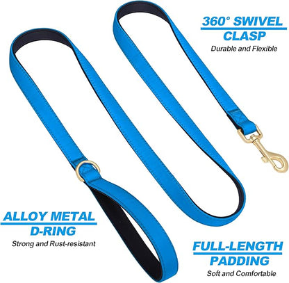 Didog 5FT Colorful Nylon Dog Leash with Soft Full-Length Padding, Lightweight and Durable Pet Leash for Medium and Large Dogs, Blue, M