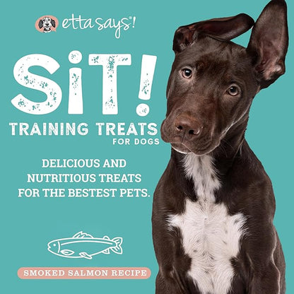 etta says! Sit Training Treats - All Natural Smoked Salmon Soft Treats for Dogs - Made in The USA - Soft & Chewy for Small, Medium & Large Dogs or Puppies