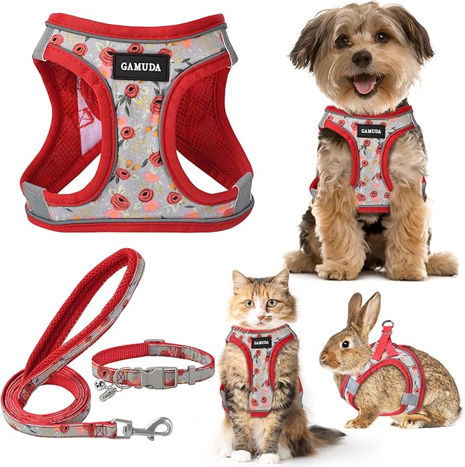 GAMUDA Small Dog Harness Collar and Leash Set, Step in No Chock No Pull Soft Mesh Adjustable Dog Vest Harnesses Plaid Reflective for Dogs Puppy Cats Kitten Rabbit (Red Flower, XXS)