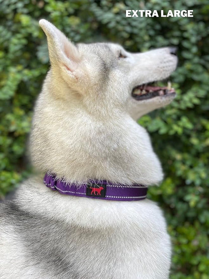 Heavy Duty Dog Collar with Handle | Ballistic Nylon Heavy Duty Collar | Padded Reflective Dog Collar with Adjustable Stainless Steel Hardware | Convenient Sizing for All Breeds X-Large (19-23" Neck)