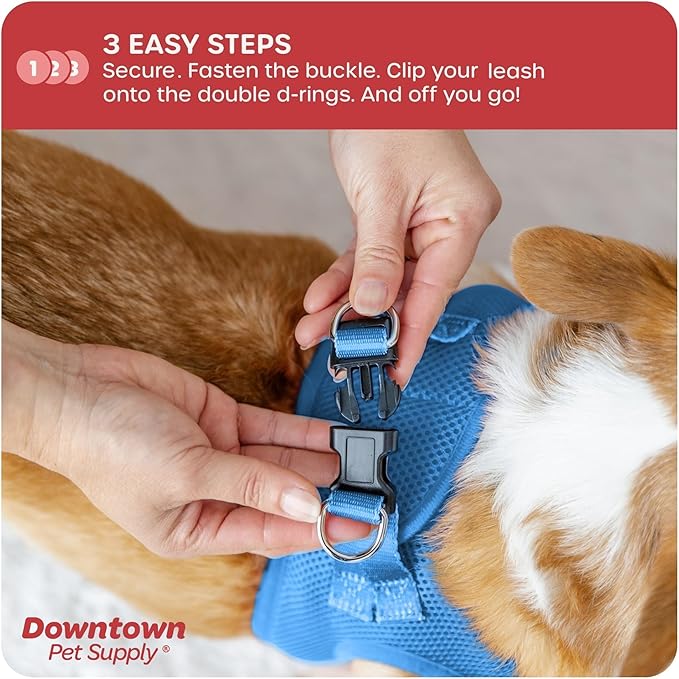 Downtown Pet Supply Step in Dog Harness for Small Dogs No Pull, Small, Cobalt - Adjustable Harness with Padded Mesh Fabric and Reflective Trim - Buckle Strap Harness for Dogs