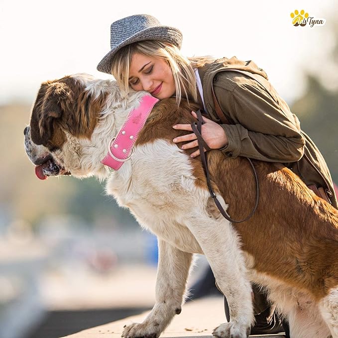 ADITYNA Heavy-Duty Pink Leather Dog Collar for Extra-Large Dogs - Soft Padded for Comfort - Big Girl Dog Collar for Walking, Training, and Hiking