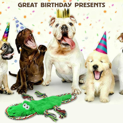 No Stuffing Squeaky Dog Toys,Tug of War Dog Toy with Pull Rope, Interactive Dog Toys Dog Gifts for Small,Medium Dog