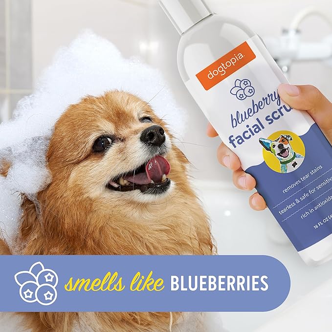 Dogtopia Blueberry Facial Cleansing Wash for Dogs (16oz) and Facial Wipes (60ct) Combo | Gently Remove Tear Stains | Remove Saliva Stains | Brighten and Whiten Coat | Daily Tear Stain Wipes