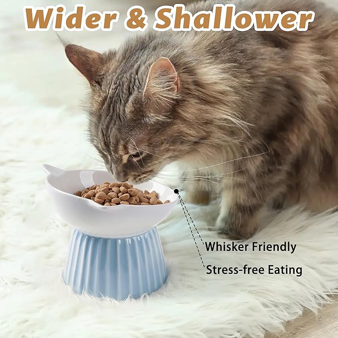 Wellbro Ceramic Raised Cat Bowl，Tilted Raised Bowl Anti Vomit Bowls for Indoor Cats Whisker Friendly Pet Feeder for Cats Puppies, Microwave and Dishwasher Safe